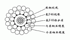 FL-WGSF46-5.60mm氟塑料F46絕緣F40護(hù)套雙鋼絲鎧裝承荷探測電纜