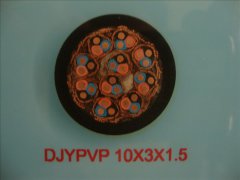 計(jì)算機(jī)電纜DJYPVP-10*3*1.5