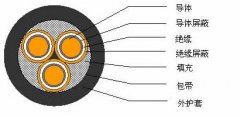 3*2.5，3*3，3*4，3*6，3*10，3*16，3*25屏蔽電纜結(jié)構(gòu)圖