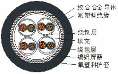 AKFFPXR200熱電偶熱電阻專(zhuān)用高溫屏蔽線