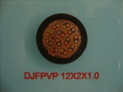 DJFPVP 0.3/0.5KV 12*2*1.0 計算機屏蔽電纜