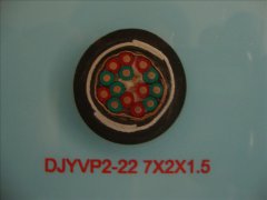 DJYVP2-22 0.3/0.5KV 7*2*1.5鎧裝計算機屏蔽電纜